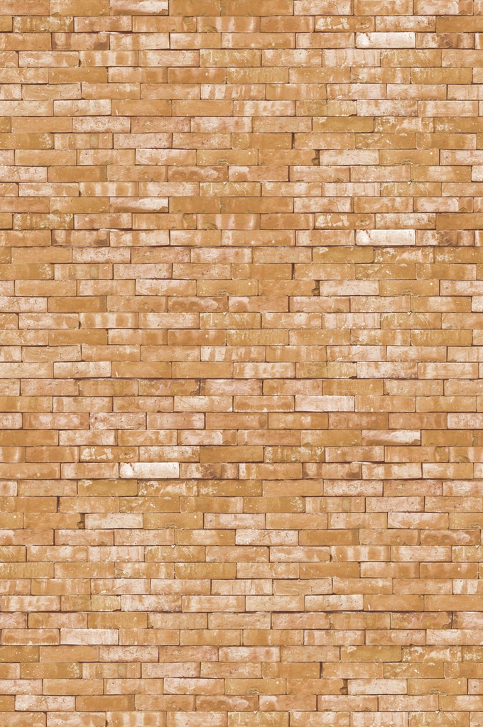 Wallpower Junior - 364190