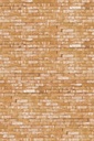 Wallpower Junior - 364190