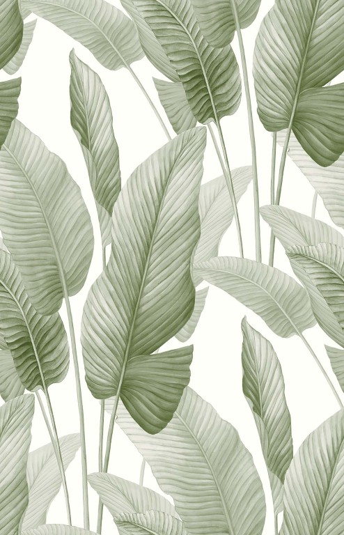 Bali Tropical - Mantra AG60004