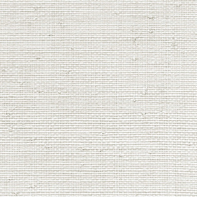 Edition 20 - White Natural Textures - White Naturals Raffia CL50044