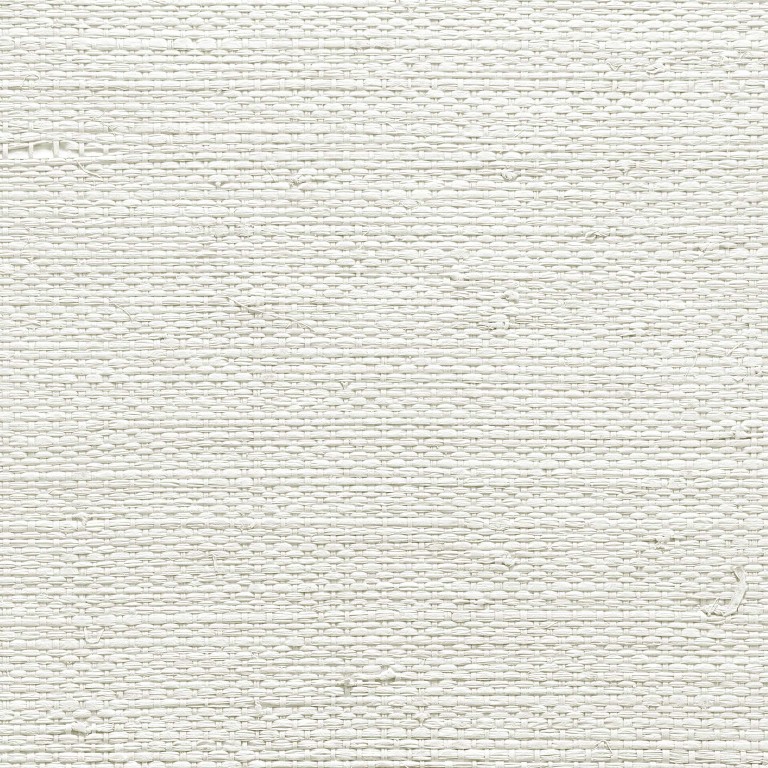 [CL50045] Edition 20 - White Natural Textures - White Naturals Raffia CL50045