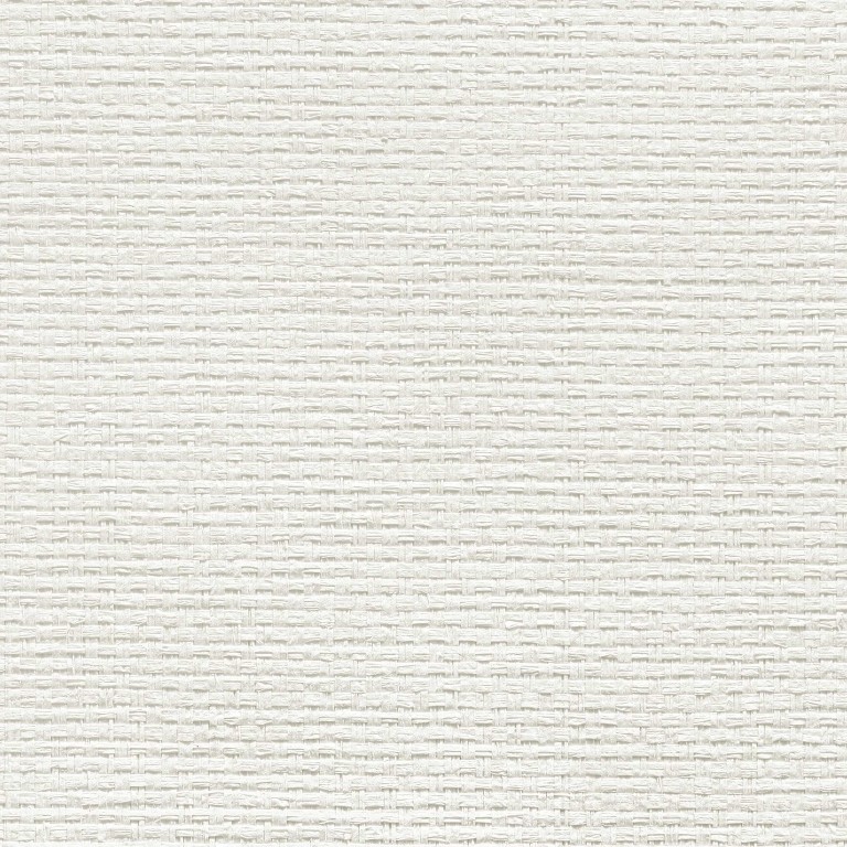 Edition 20 - White Natural Textures - White Naturals Raffia CL50047