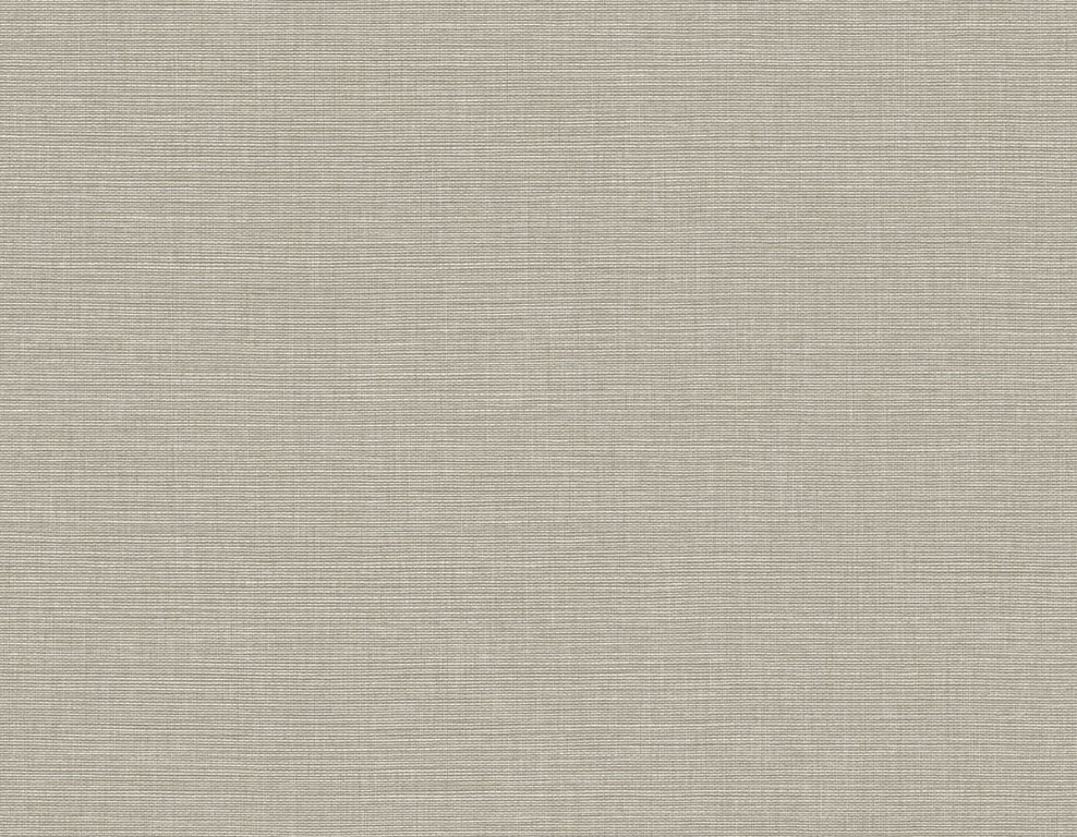 [QX50206] Questex Vol. 5 - Ascend Plain QX50206