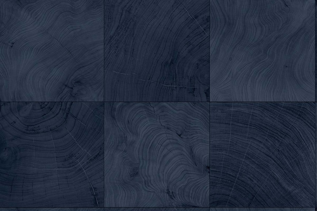 [CP96902] Questex Vol. 5 - Kemi CP96902