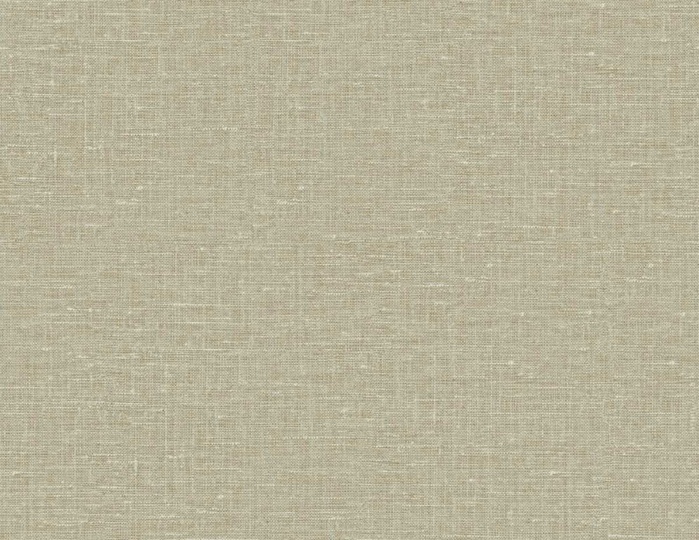 Questex Vol. 5 - Nomi GT35010