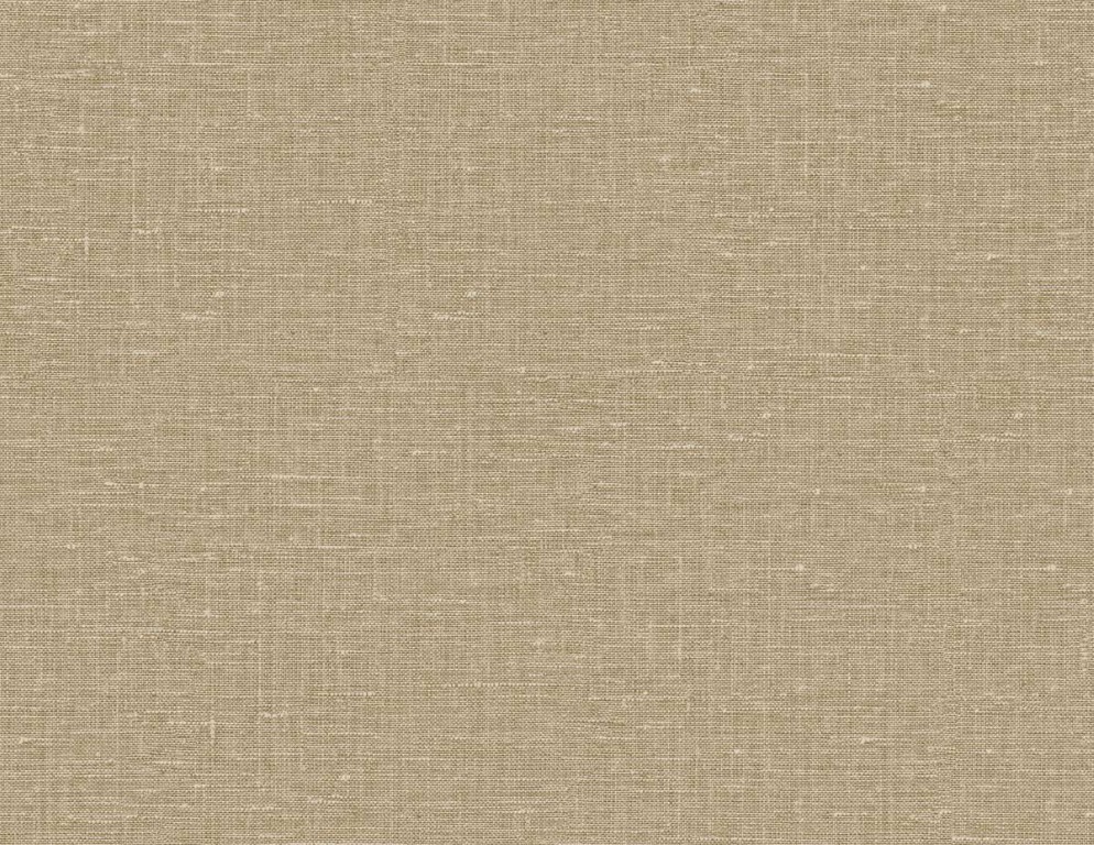 Questex Vol. 5 - Nomi GT35011