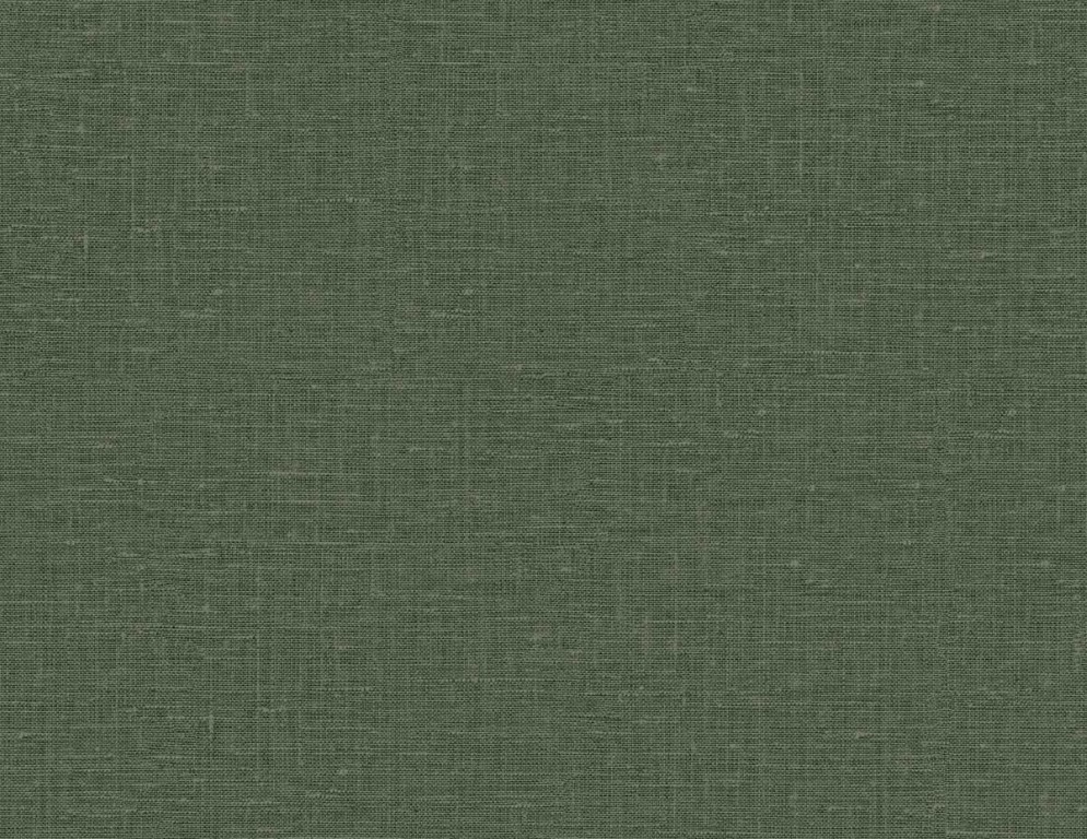 Questex Vol. 5 - Nomi GT35034