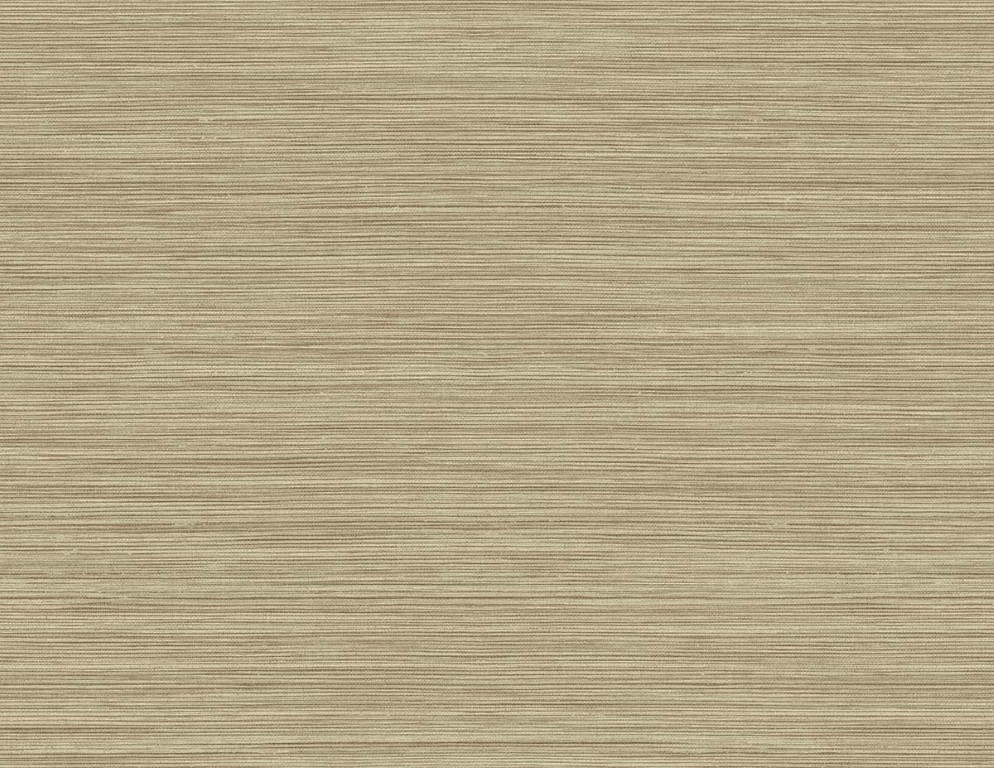 [CP97217] Questex Vol. 5 - Rauma CP97217
