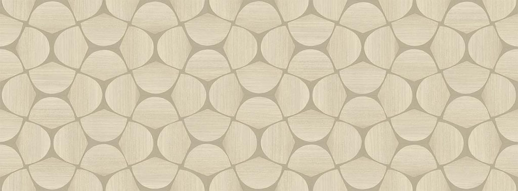 Questex Vol. 6 - Sienne QX60203