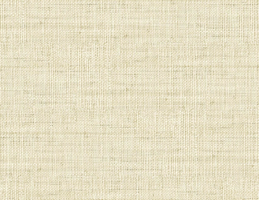 [RA40303] Raffia - Wild Bind RA40303