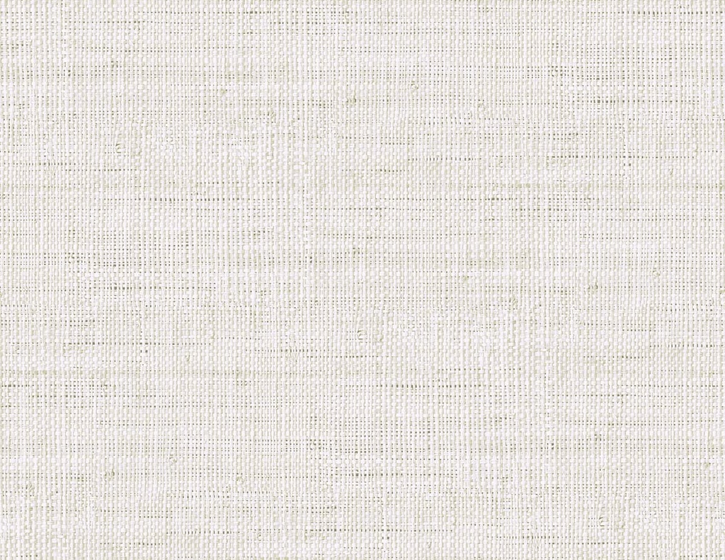 Raffia - Wild Bind RA40308