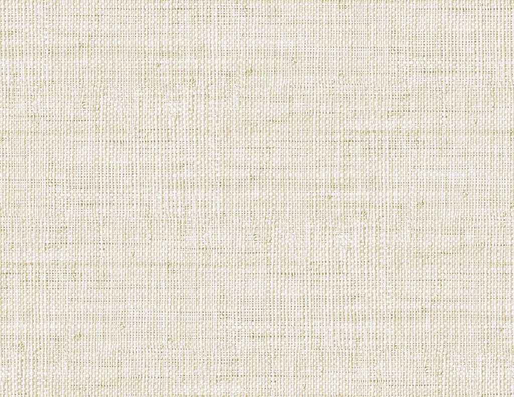 Raffia - Wild Bind RA40311