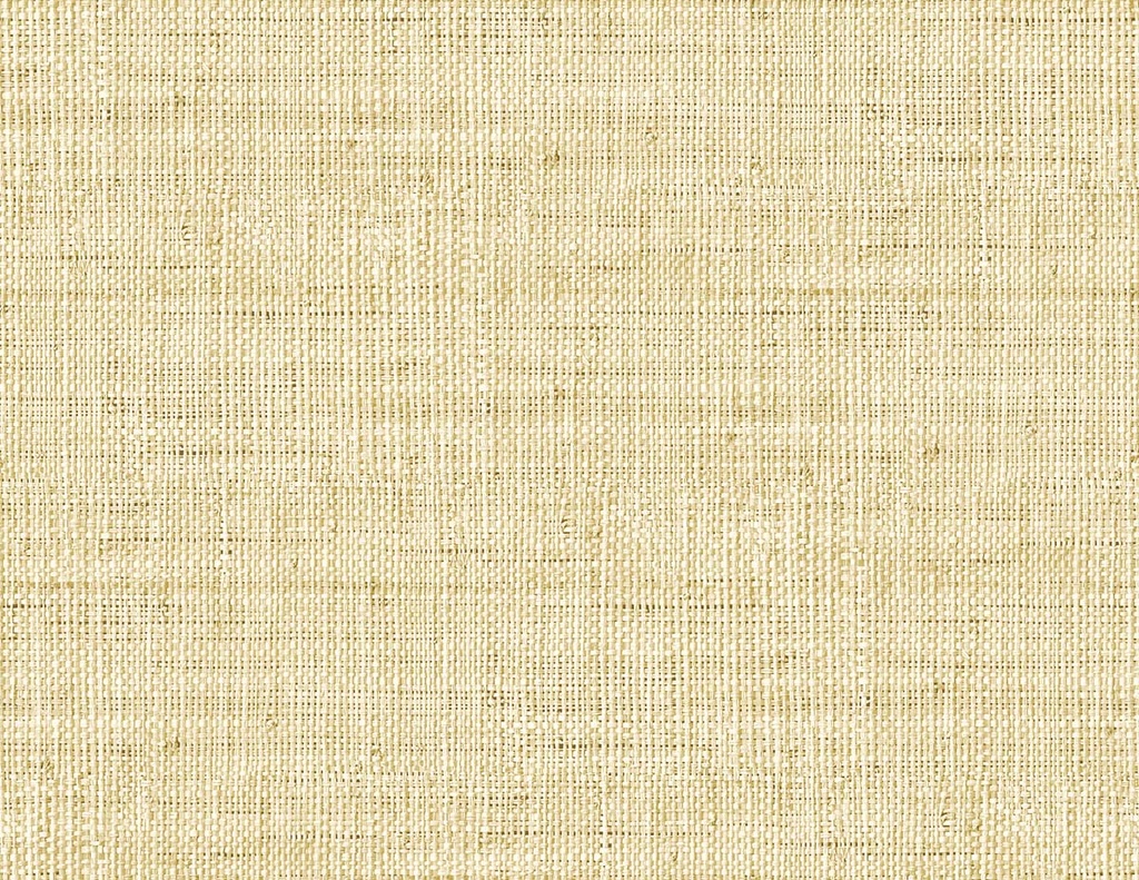 Raffia - Wild Bind RA40314