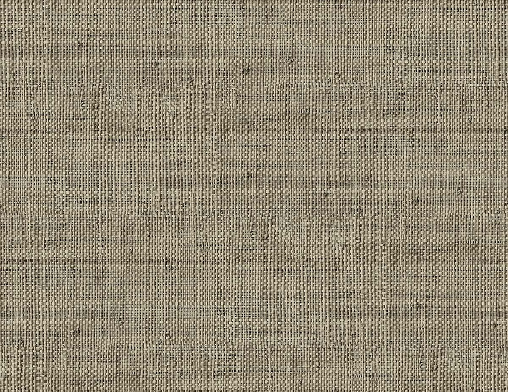 Raffia - Wild Bind RA40316