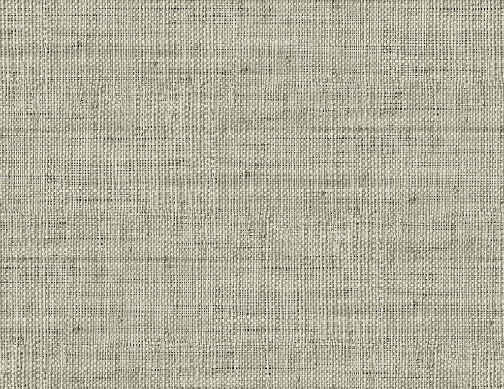 [RA40317] Raffia - Wild Bind RA40317