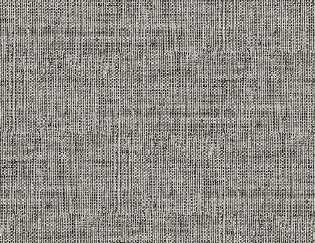 Raffia - Wild Bind RA40319