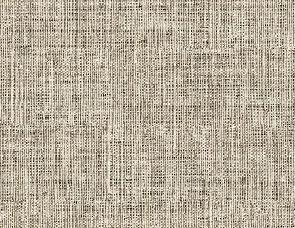 Raffia - Wild Bind RA40350