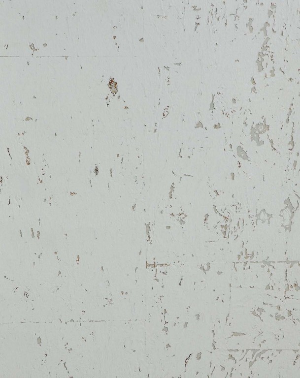 [WP20006] Specialty Grasscloths & Veneers - Moon Rock Cork WP20006