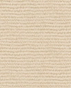 Roots - Maize 363340