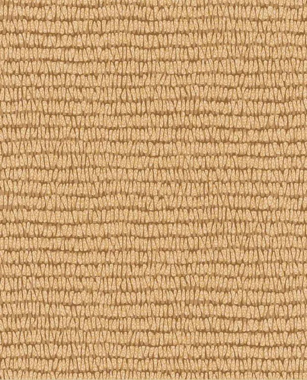 Roots - Maize 363341