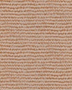 Roots - Maize 363342