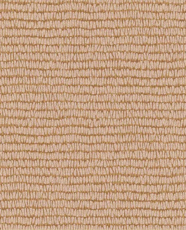 Roots - Maize 363343