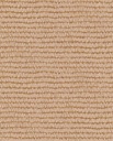 Roots - Maize 363343