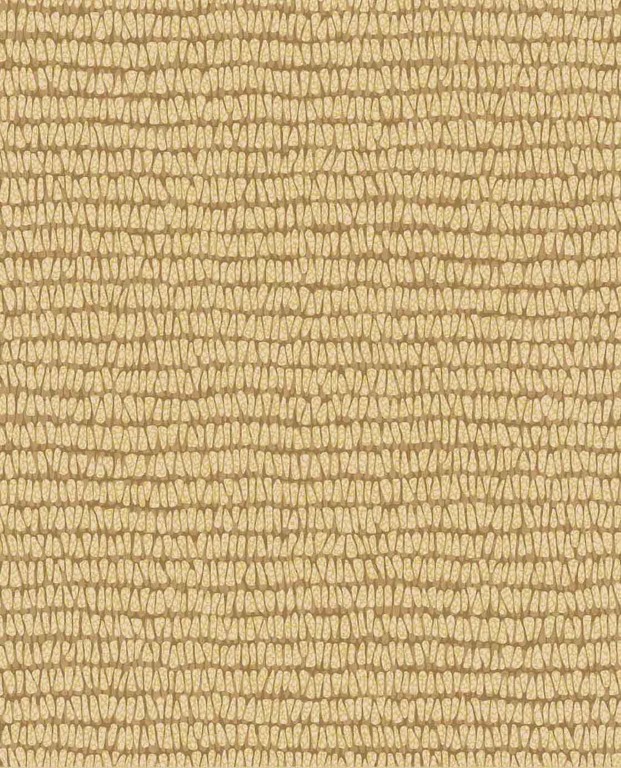 Roots - Maize 363344