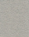 Roots - Maize 363345