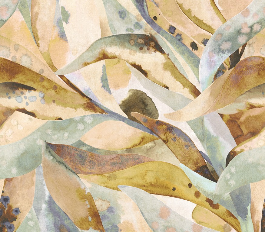 Roots - Canopy 363370