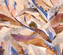 Roots - Canopy 363371