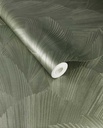 Tonal Textures - Licuala 363473