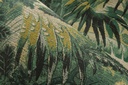 Antigua - Tropicali 33000