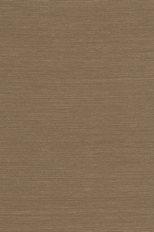 Boutique - Agave 90535