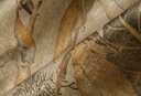 Décors & Panoramiques - Milk And Honey 97631