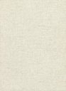 Essentials-Les Nuances - Chanderi 91500