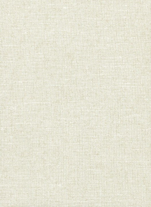 [91501] Essentials-Les Nuances - Chanderi 91501