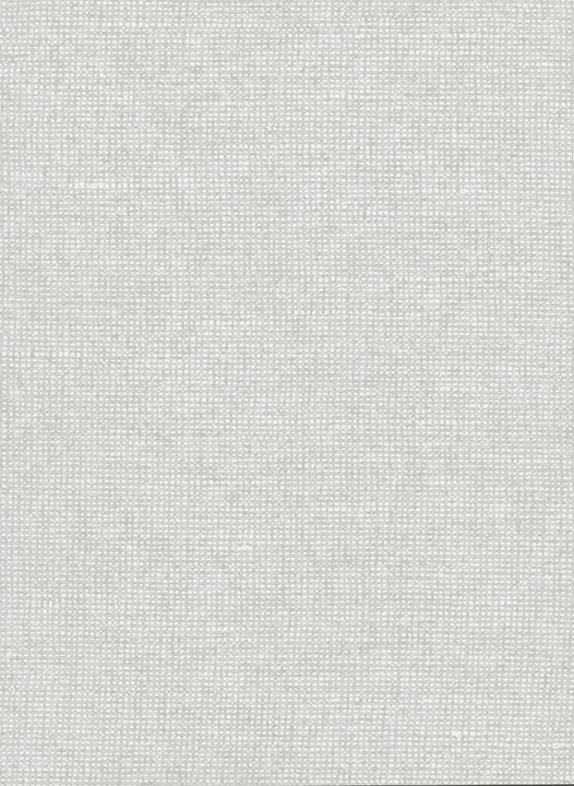 [91502] Essentials-Les Nuances - Chanderi 91502