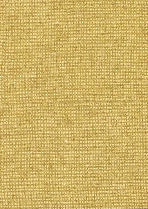 [91505] Essentials-Les Nuances - Chanderi 91505