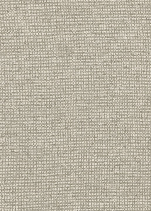 [91506] Essentials-Les Nuances - Chanderi 91506