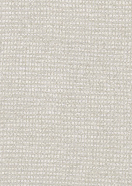 [91516] Essentials-Les Nuances - Chanderi 91516