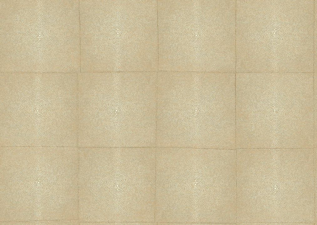 Icons - Shagreen 85520