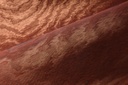 Kharga - Moire 15012A