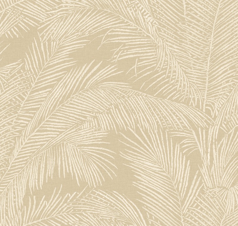 Lanai - Maui 81531