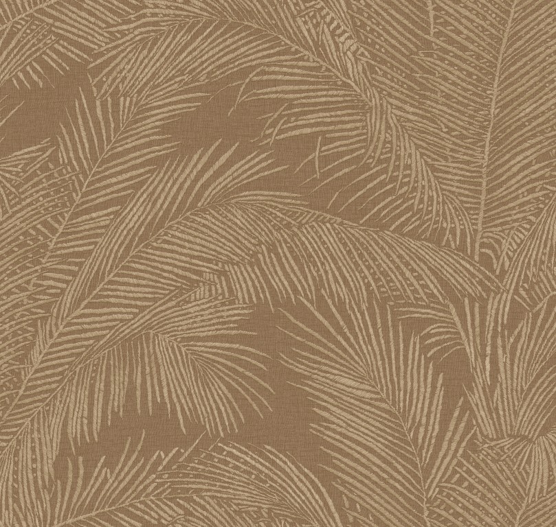 Lanai - Maui 81532