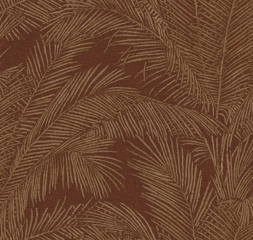 Lanai - Maui 81534