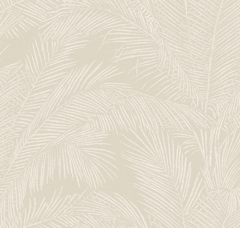 Lanai - Maui 81536