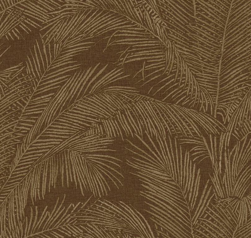 Lanai - Maui 81537