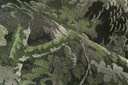 Les Forets - Diore 48010