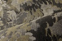 Les Forets - Diore 48012